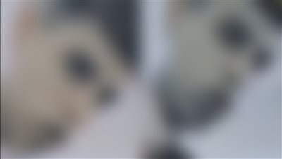 فيديو مُراهق يعتدي على شقيقه الصغير يثير الذعر عبر مواقع التواصل الاجتماعي