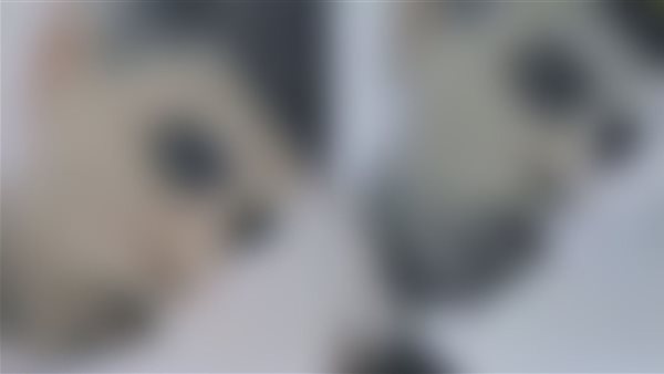 الشاب في الفيديو