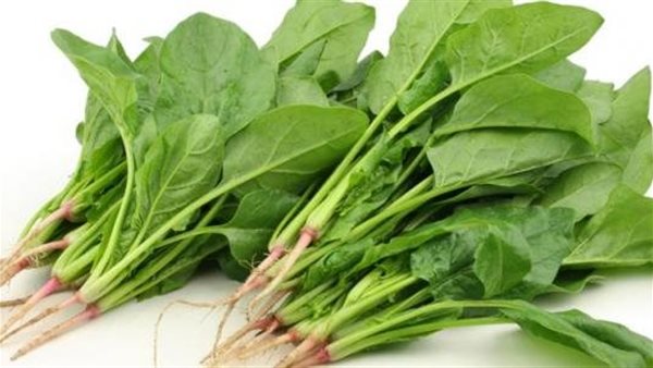 أضرار السبانخ