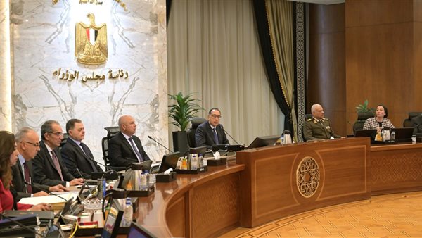 مجلس الوزراء 