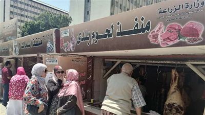 بتخفيضات 50%.. مصادر: وزارة الزراعة تستعد لإطلاق معرض غذائي كبير لبيع السلع واللحوم