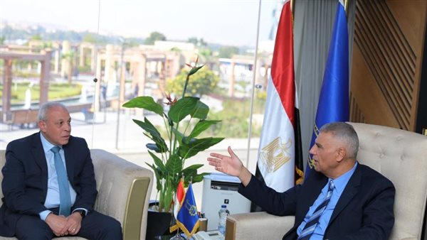 محافظ أسوان