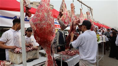 شعبة المستوردين: أسواق اليوم الواحد تسهم في منع الاحتكار وخفض معدلات التضخم