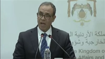 وزير الخارجية: نأمل في مرحلة انتقالية سلسة في سوريا بمشاركة جميع الأطراف