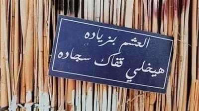 شعب ملهوش كتالوج.. أمثال شعبية مضحكة ابتكرها المصريون| صور