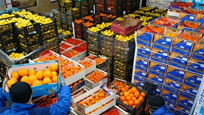 وزير الزراعة: نتوقع تجاوز صادراتنا الزراعية 12 مليار دولار بنهاية العام