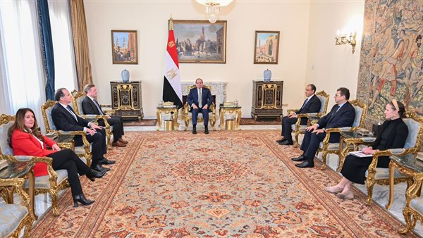 لقاء السيسي