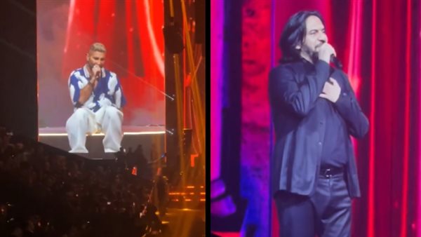 الفنان بهاء سلطان