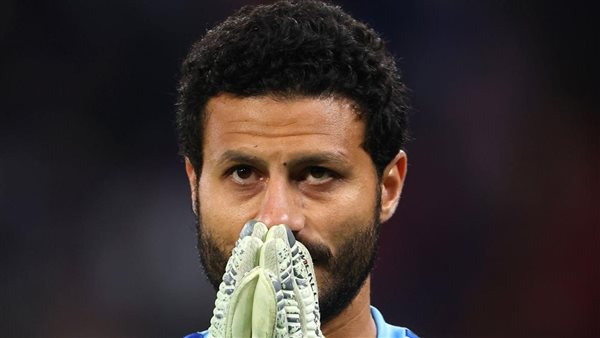 محمد الشناوي