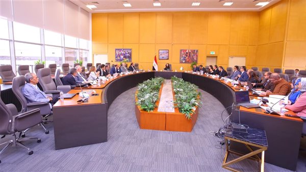 صندوق دعم مشروعات