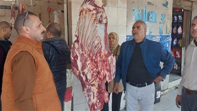 محافظة الجيزة تشنّ حملات تفتيش على محال الجزارة بمنشأة القناطر| صور