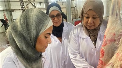 حملات مكبرة قبل عيد الميلاد المجيد وضبط مواد غذائية غير صالحه للاستهلاك ببورسعيد 