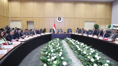 كامل الوزير: خطة متكاملة لتطوير شركة مصر للألومنيوم باستثمارات 250 مليون دولار