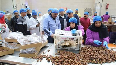 مجمع التمور المطور بالوادي الجديد يستعد لشهر رمضان الكريم| صور