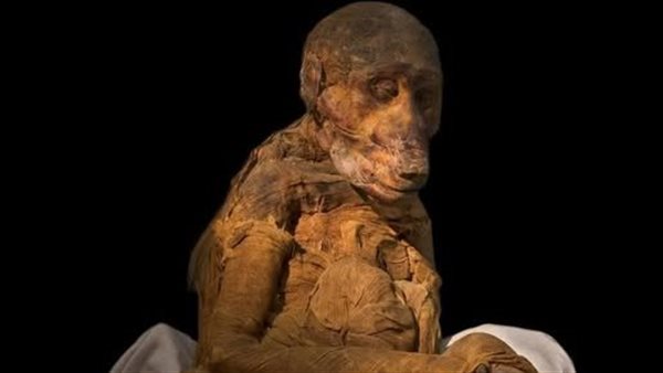 مومياء لـ قرد البابون