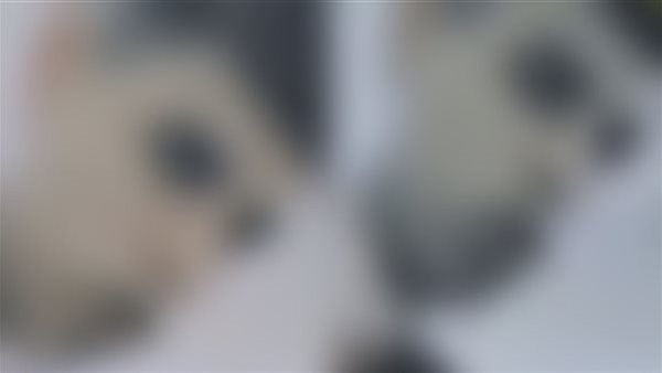 الشاب في الفيديو