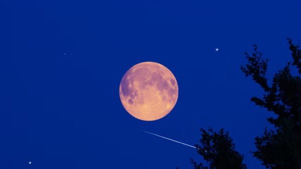 القمر البارد 