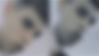 التحقيق مع المتهم صاحب فيديو واقعة التعدي جسديا على صغير