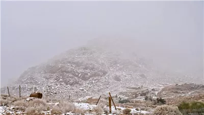 تحذير من موجة برد شديدة تضرب السعودية.. أمطار غزيرة ورياح عاصفة