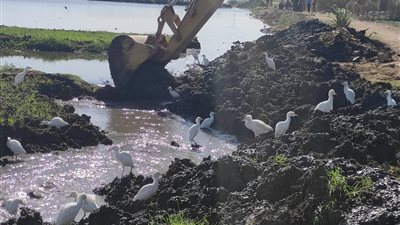 محافظ أسيوط: إزالة 22 حالة تعد على أملاك الدولة والأراضي الزراعية 