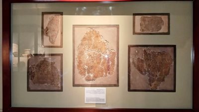 المتحف المصري بالتحرير يعلن عرض أجزاء من مقبرة أول طبيب للأسنان في مصر القديمة | صور 