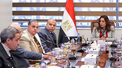 وزيرة التنمية المحلية: تطوير 41 مجزرًا بتكلفة 1.97 مليار جنيه بالمحافظات