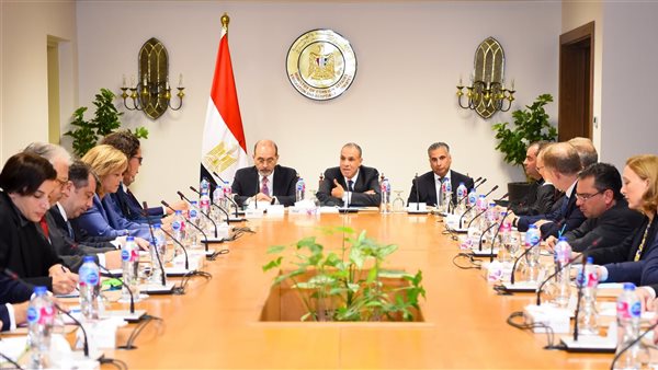 وزير الخارجية يلتقى