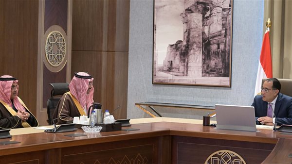 رئيس الوزراء يلتقي