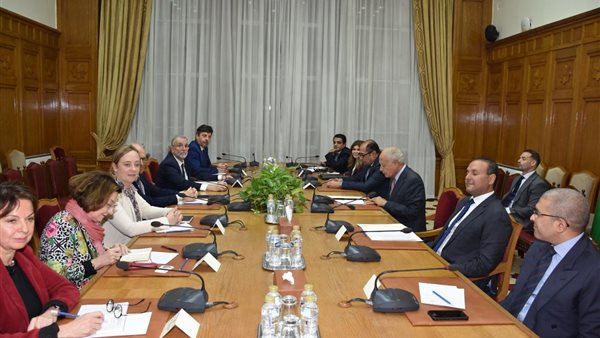 أبو الغيط والوفد