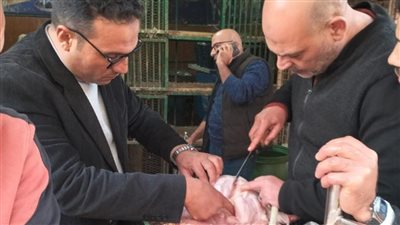 ضبط ربع طن دواجن غير صالحة للاستهلاك الآدمي بالمنوفية