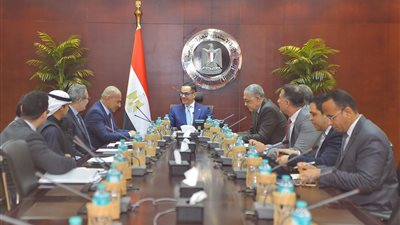 وزير الاستثمار يتابع مع سيزار باك للصناعات الورقية تطورات مشروعها بمصر لإعادة التدوير