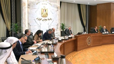 رئيس الوزراء يعرض خطط إدارة المطارات المصرية على تحالف مستثمرين إماراتيين