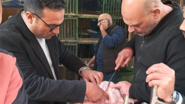 حملات الطب البيطري