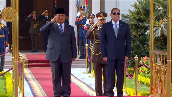 جانب من الاستقبال