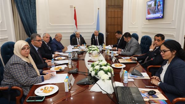 محافظ القاهرة واللجنة