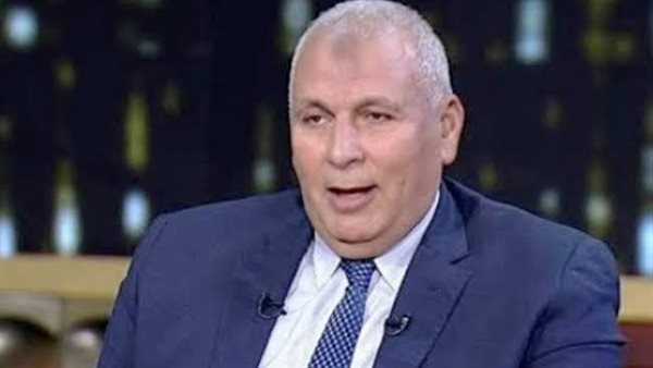 محافظ الوادى الجديد