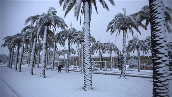 الطقس في السعودية