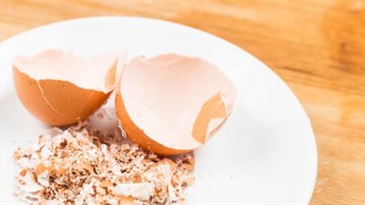 فوائد تناول قشر البيض للبشرة 