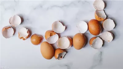 تفسير رؤية البيض الكثير في المنام.. دلالة على الزواج والرزق الوفير