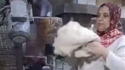 بنزل من الفجر.. كفاح أم أحمد أول خبازة في دمياط: جهزت بنتي وجوزتها والشغل مش عيب| بث مباشر 