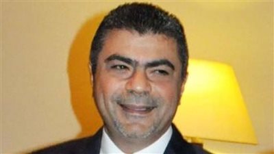 أيمن الجميل: كلمة الرئيس السيسي بقمة الدول الثماني النامية بالقاهرة رسالة انحياز لقيم التعاون والتنمية ضد الحروب والصراعات