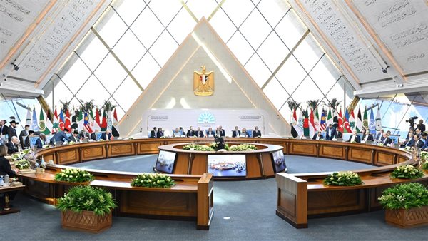 جانب من القمة 