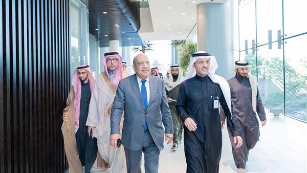 وزير الكهرباء