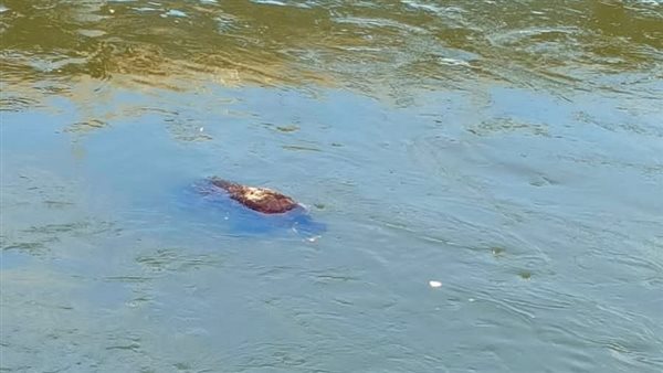 العثور على جثمان