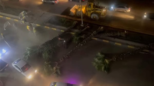 قطع نخيل شارع الهرم