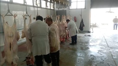 محافظ القاهرة: انتظام العمل بمجزر 15 مايو بكفاءة عالية بعد افتتاحه| صور