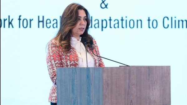 وزيرة التنمية المحلية