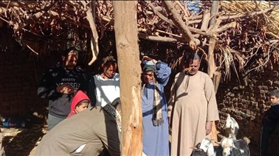 إجراءات عاجلة من الطب البيطري بسوهاج بشأن هجوم الذئاب على حظائر الأغنام| بث مباشر