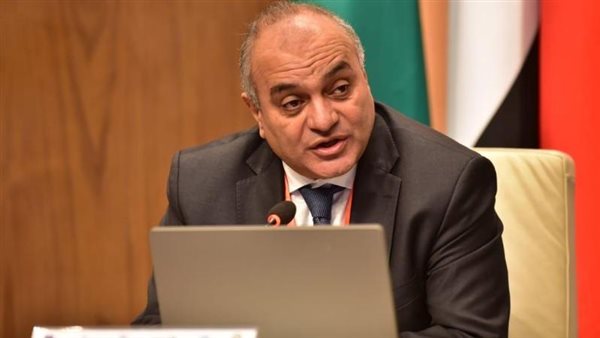 نائب وزير المالية