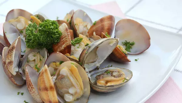 طريقة عمل الجندوفلي